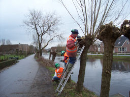 Langs de Graafstroom